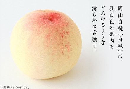 岡山の桃 食べ比べ定期便（年3回）
