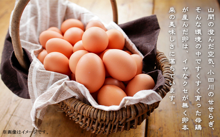 平飼い農家の庭先たまご 30個 × 12回【12ヶ月連続お届け】