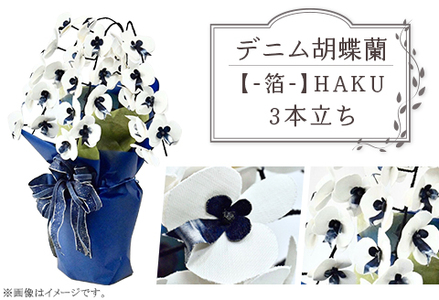 【デニム胡蝶蘭】 -箔- 3本立ち 10,080円