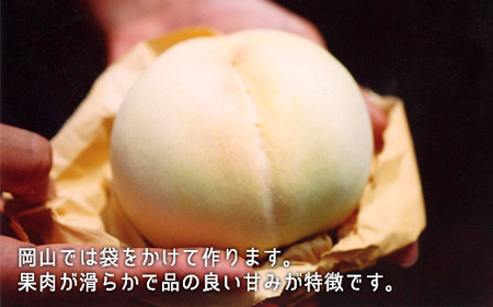 岡山県産「白桃・ニューピオーネ」詰合せ 約1.0kg【26年8月下旬以降の出荷分】