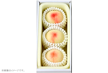 岡山の白桃(晩生種) 大玉3玉(約900g)【26年7月下旬以降に順次発送】
