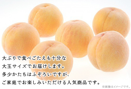 【ご家庭用】おかやまの「黄金桃」 大玉3玉（約900g）