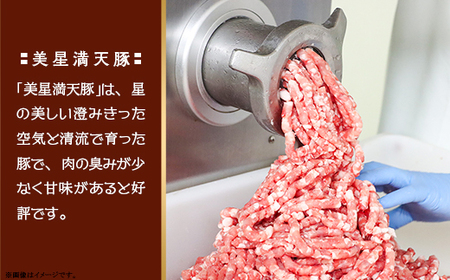 【美星満天豚使用】黒豚手捏ね粗挽きハンバーグ 10個（生ハンバーグ）