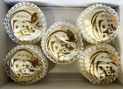 新高梨 3~6玉(約4kg)化粧箱入り【2026年9月下旬~11月上旬発送予定】