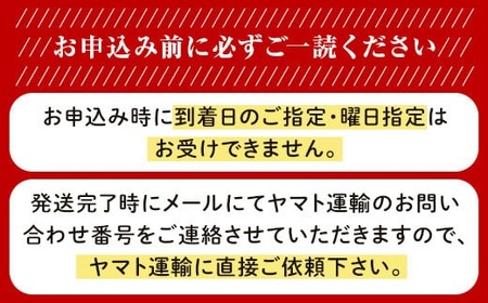 新高梨 3~6玉(約4kg)化粧箱入り【2026年9月下旬~11月上旬発送予定】