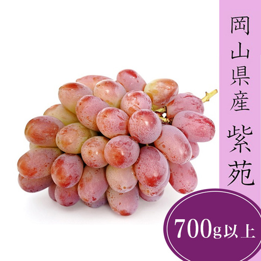 紫苑 1房(700ｇ以上) 化粧箱入り【2026年10月下旬～11月下旬発送予定】