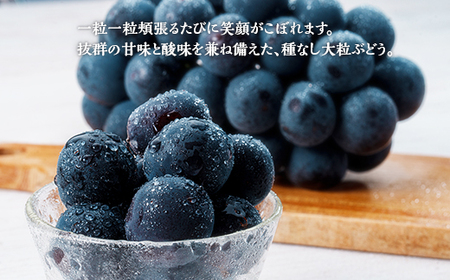 岡山県井原市美星町産 ニューピオーネ 2kg箱（3～5房入り） ご家庭用【2026年8月下旬～9月下旬発送予定】