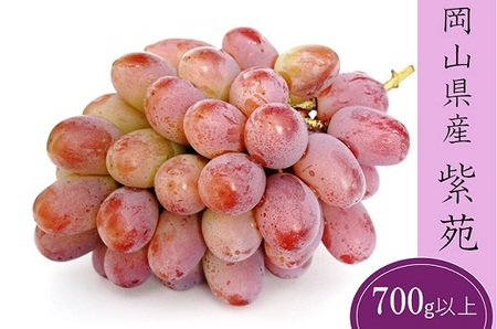 岡山県産 フルーツ定期便 4回コース【2026年産】