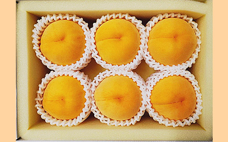 岡山県産 桃食べ比べ全2回【2026年産】