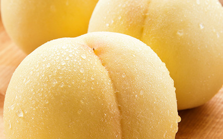 岡山県産 桃食べ比べ全2回【2026年産】