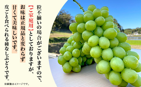 【訳あり】シャインマスカット3房(2.0kg以上)【2026年10月中旬~11月上旬発送予定】(星のさと・ぶどう工房)
