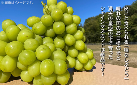 【訳あり】シャインマスカット3房(2.0kg以上)【2026年10月中旬~11月上旬発送予定】(星のさと・ぶどう工房)