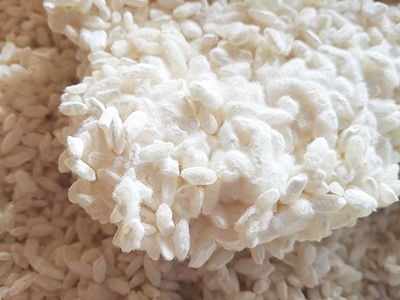 玄米どぶろく「Cantabile」×にゃんこマット