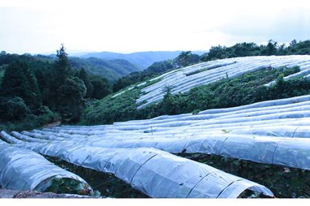 グランポレール岡山マスカットベーリーA<樽熟成>750ml×2本