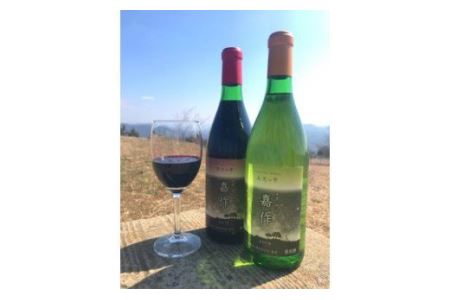 E-16 美星町産ワイン　赤・白ワインセット　嘉作