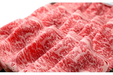 肩ローススライス約500g【美星和牛】