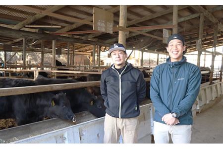 肩ローススライス約500g【美星和牛】