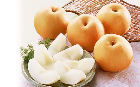 74-21 新高梨 5～6玉（2.5kg以上）【2026年10月上旬～下旬発送予定】