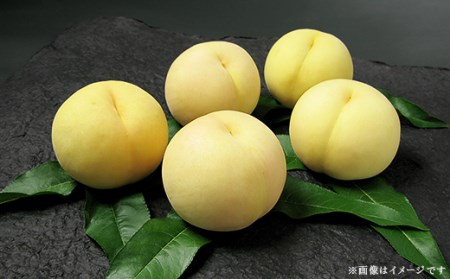 74-12 清水白桃5～7玉（計1.5kg以上）【2026年7月中旬～7月下旬発送予定】