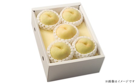 74-12 清水白桃5～7玉（計1.5kg以上）【2026年7月中旬～7月下旬発送予定】