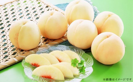 74-13 白桃5～7玉（白鳳もしくは加納岩）【2026年7月上旬～7月中旬発送予定】