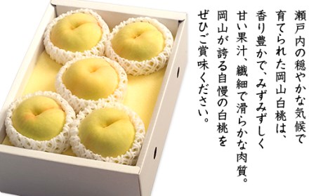 74-13 白桃5～7玉（白鳳もしくは加納岩）【2026年7月上旬～7月中旬発送予定】