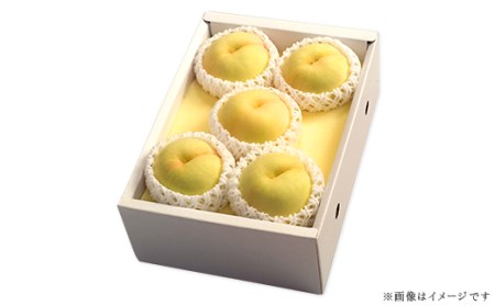 74-13 白桃5～7玉（白鳳もしくは加納岩）【2026年7月上旬～7月中旬発送予定】