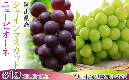 74-18 ぶどう2房（シャイマスカット・ニューピオーネ）計1.2kg以上【2026年9月上旬～10月上旬発送予定】