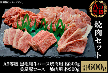 焼肉セット600g（2～3人用）A5等級 黒毛和牛ロース 約300gと美星豚ロース 約300g 岡山県産
