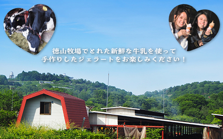 搾りたてミルクでつくるジェラート4個セット（徳山牧場アイス工房）