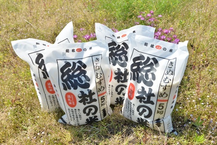 令和6年産米】特Aきぬむすめ【精白米】30kg 定期便（15kg×2回）岡山県総社市産〔令和7年5月・7月配送〕24-030-008 | 岡山県総社市  | ふるさと納税サイト「ふるなび」