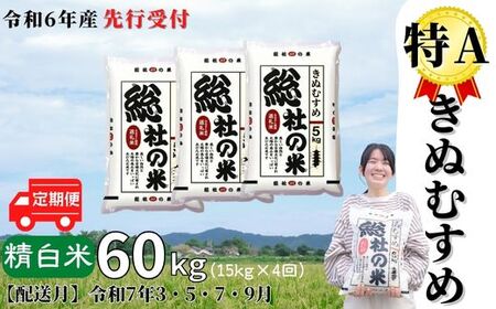 【令和6年産米】特Aきぬむすめ【精白米】60kg 定期便（15kg×4回）岡山県総社市産〔令和7年3月・5月・7月・9月配送〕24-060-006