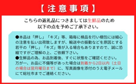 【2回定期便】 総社の桃とぶどう　オオモノ対決！厳選大玉桃 vs 厳選大房シャインマスカット　岡山県総社市産【2025年産先行予約】25-060-001