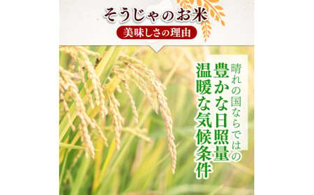 【令和7年産】特Aきぬむすめ【精白米】10kg 岡山県総社市〔令和7年12月配送〕25-017-002