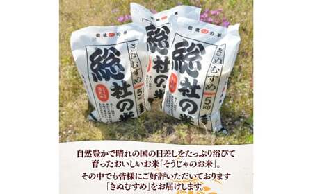 【令和7年産】特Aきぬむすめ【精白米】10kg 岡山県総社市〔令和7年11月配送〕25-020-005