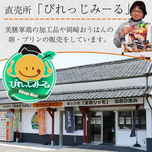 【美膳軍鶏総菜】特盛詰め合わせ（5種7商品）030-030