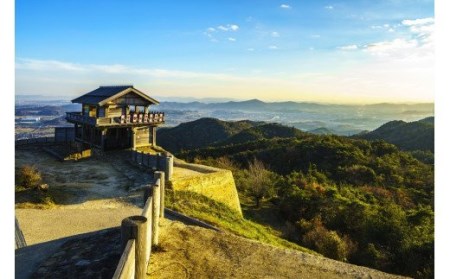 鬼ノ城720ml 3本セット020-007