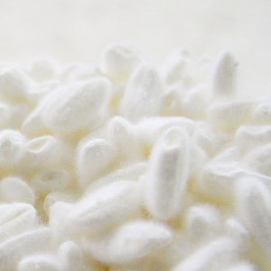 麹屋のはじめての味噌づくりセット（樽つき）【まるみ麹本店】019-009