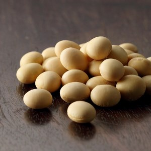 麹屋のはじめての味噌づくりセット（樽つき）【まるみ麹本店】019-009