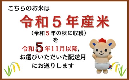 令和5年度岡山県産 きぬむすめ玄米30キロ - 米