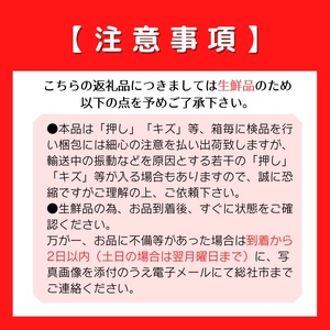 白桃「清水白桃ロイヤル（2kg箱）」 岡山県総社市産【2024年産先行予約】24-050-001