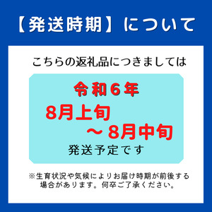 白桃「白麗ロイヤル（2kg箱）」岡山県総社市産【2024年産先行予約】24