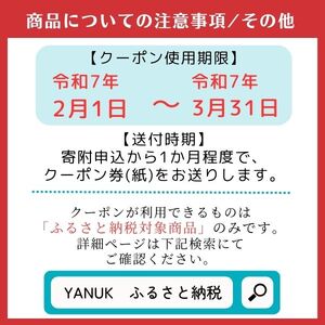 YANUKオンラインショップ限定クーポン券A（21,000円分）070-004