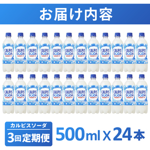 【定期便】カルピスソーダ（500mL×24本）〔3回配送〕039-002
