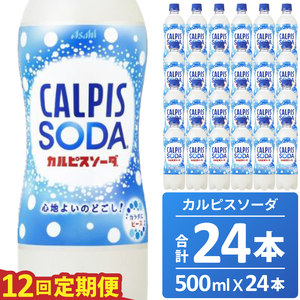 【定期便】カルピスソーダ（500mL×24本）〔12回配送〕156-002