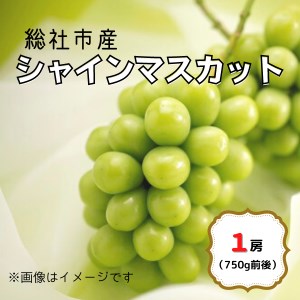 21-012-002.総社市産ぶどう「シャインマスカット」