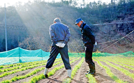 もち麦 キラリモチ 200g パック 3個 セット岡山 高梁市 宇治町産 米 