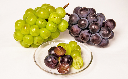 ぶどう 梨 定期便 2026年 先行予約 フルーツ王国 岡山を堪能 4回コース 秋・冬物語 葡萄 ぶどう 梨 なし 岡山県産 国産 果物 セット ギフト 