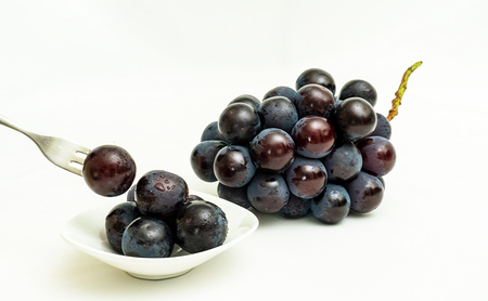 ぶどう 梨 定期便 2026年 先行予約 フルーツ王国 岡山を堪能 定期便 3回コース 葡萄 ぶどう 梨 なし 岡山県産 国産 果物 セット ギフト 