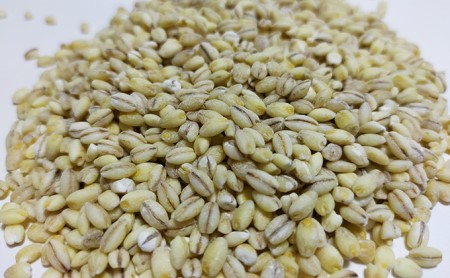 有機無農薬合鴨米（コシヒカリ10kg）・もち麦（フクミファイバー1kg）